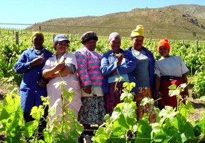 3 Rakawyne onder Top 100 in Suid-Afrika